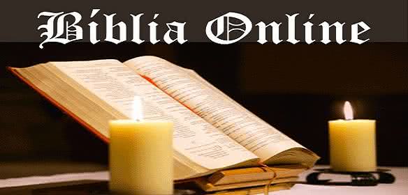 Bíblia Sagrada Online: Como ler versículos via aplicativo?