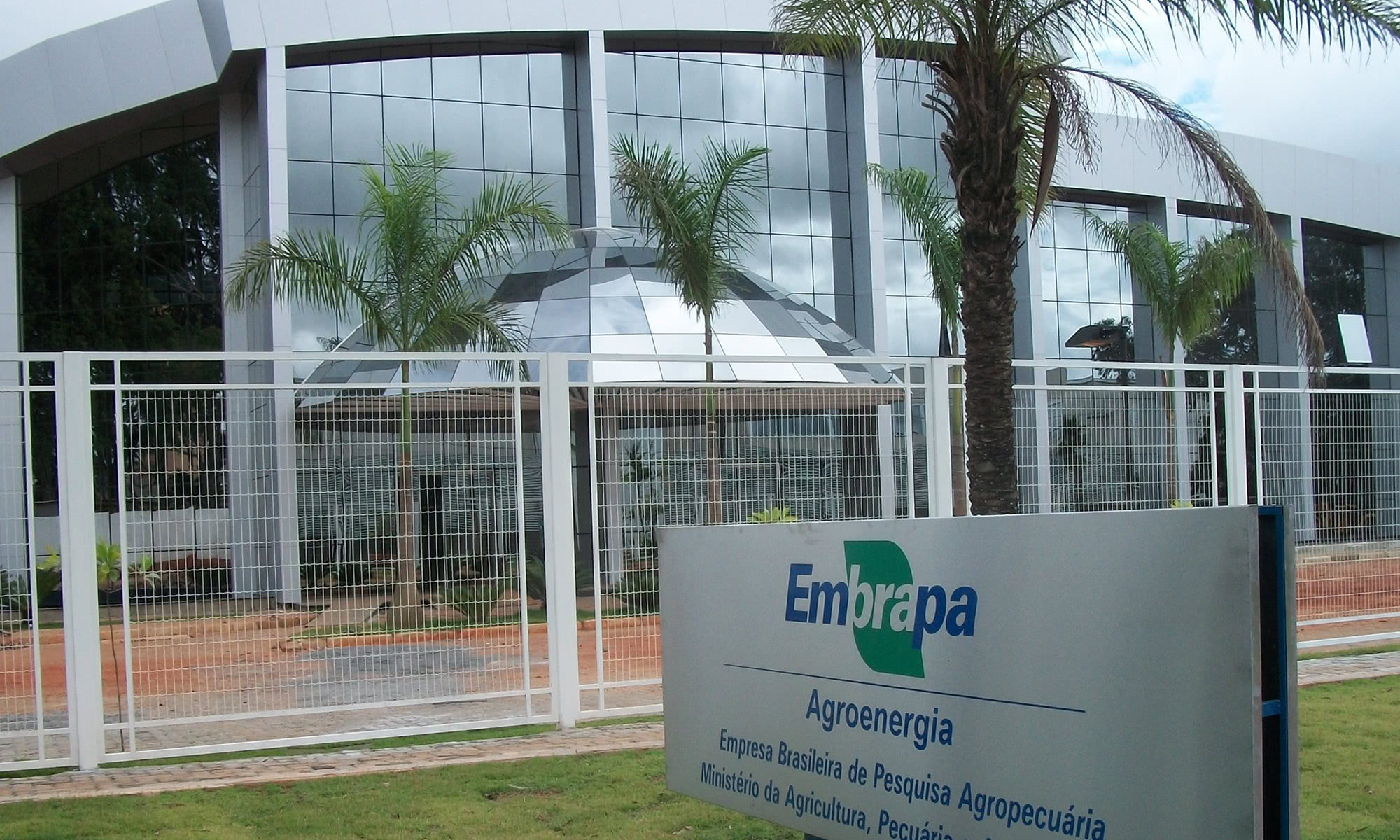 Embrapa oferece cursos online gratuito – veja como se cadastrar